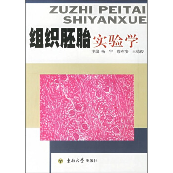 �M����̥���W