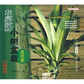 �ڼҷNС�������溆(ji��n)��