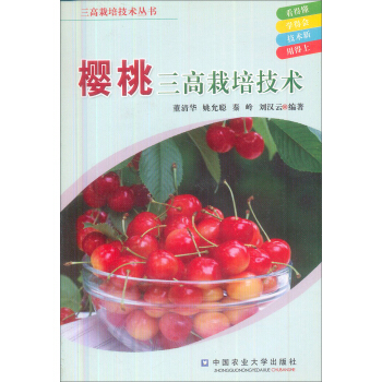 �����������༼�g