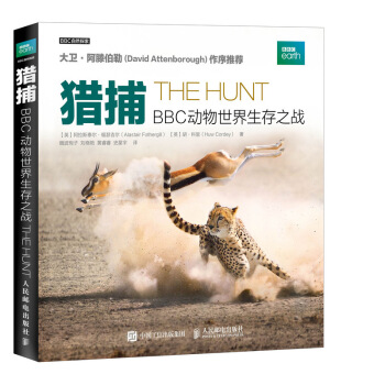 �C�� BBC������������֮��(zh��n)