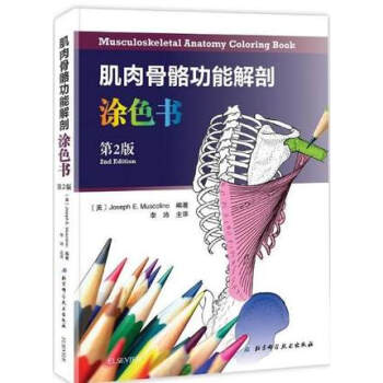 ����������ܽ���Ϳɫ�� ��2��