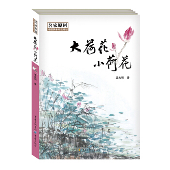 ��ɻ�С�ɻ�