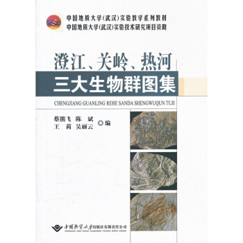 �ν����P(gu��n)�X�������������Ⱥ�D��