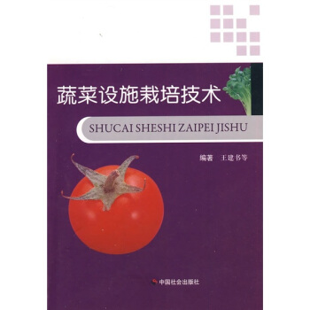 �߲��O(sh��)ʩ���༼�g(sh��)