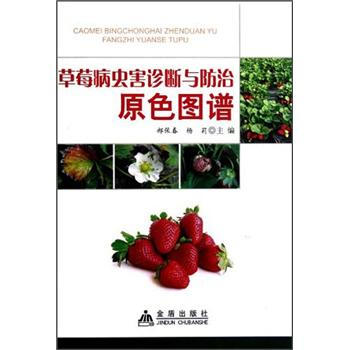 ��ݮ���x(ch��ng)���\���c����ԭɫ�D�V