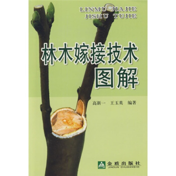 ��ľ�޽Ӽ��g(sh��)�D��