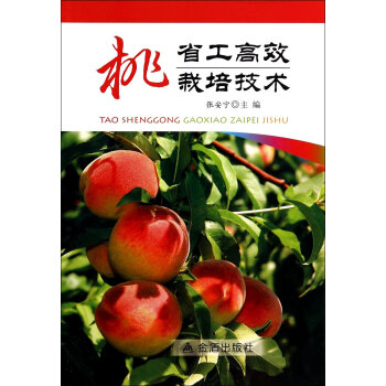 ��ʡ����Ч���༼�g(sh��)