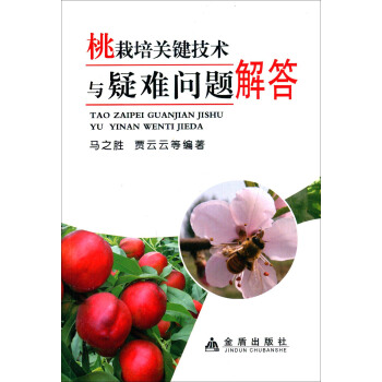 �������P(gu��n)�I���g(sh��)�c���y��(w��n)�}���