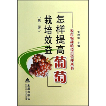 ���������������Ч�棨�ڶ��棩