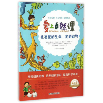 ������Ȼ�n����ʯ�������-ʷǰ����