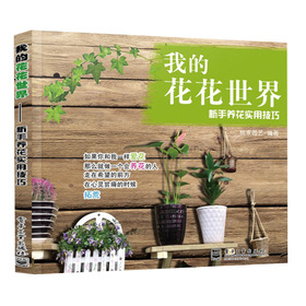 �ҵĻ������磺�����B(y��ng)����(sh��)�ü���