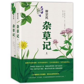 �s��ӛ��ȫ2�ԣ�