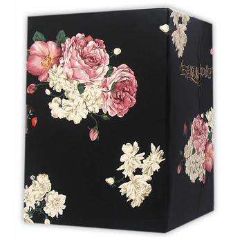 ����ԭ�����2����ӆ�棩