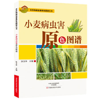  С�����x��ԭɫ�D�V