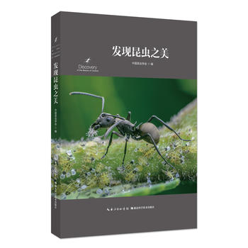  �l(f��)�F(xi��n)���x֮��