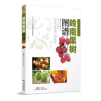  �X�Ϲ���D�V