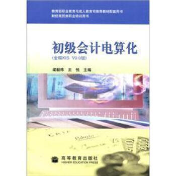 ����(j��)��(hu��)Ӌ(j��)��㻯�����KIS V9.0�棩������P1����