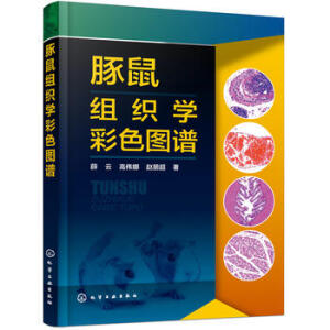 ����M���W��ɫ�D�V