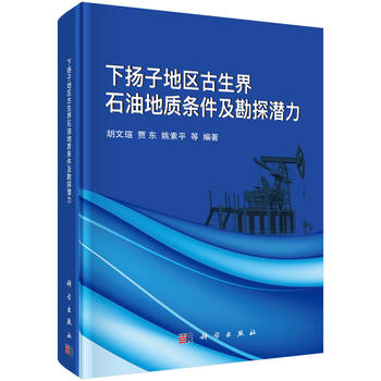 �P�ӵ؅^(q��)������ʯ�͵��|�l������̽����