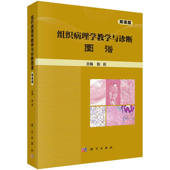 �M������W�̌W�c�\���D�V(�p�Z��)