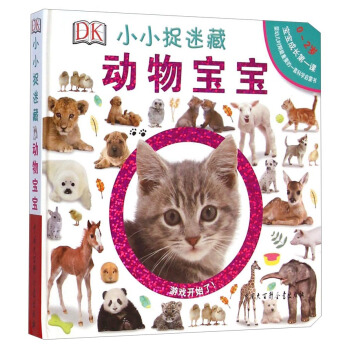 DKСС׽�Բأ������