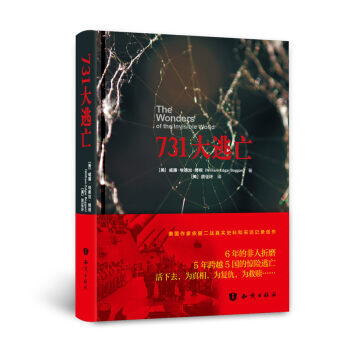 731������