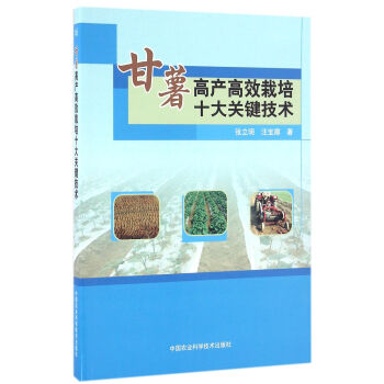 �����߮a��Ч����ʮ���P�I���g