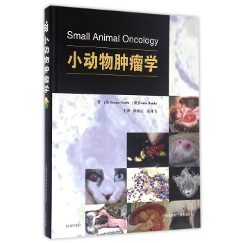 С�����[���W