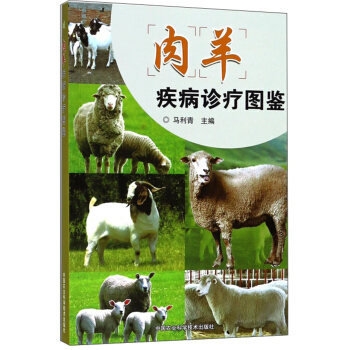 ���򼲲��\���D�b