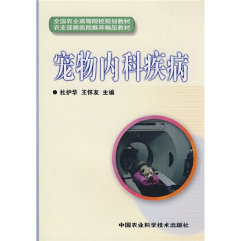 �����(n��i)�Ƽ���