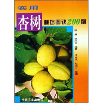 �����Ә������D�E200��