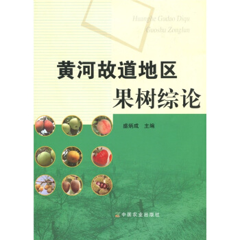 �S�ӹʵ��؅^(q��)����CՓ