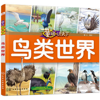 ͯ���R���¡����B�����