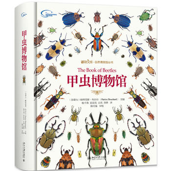 ���x�����^