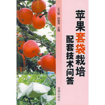 �O���״��������׼��g����