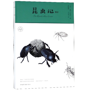 ���xӛ���g