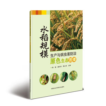 ˮ��Ҏ(gu��)ģ���a(ch��n)�c���x������ԭɫ���B(t��i)�D�V