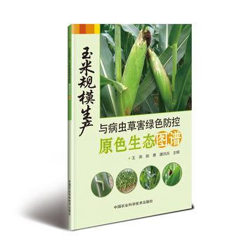 ����Ҏ(gu��)ģ���a(ch��n)�c���x�ݺ��Gɫ����ԭɫ���B(t��i)�D�V