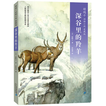 ��Fʮ��(d��ng)��С�f �۲ر�05 ����������