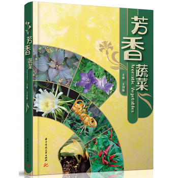 �����߲�