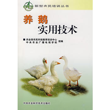 �B(y��ng)�Z��(sh��)�ü��g(sh��)