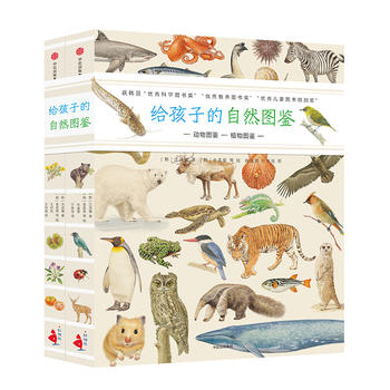 �o���ӵ���Ȼ�D�b��ȫ2�ԣ�