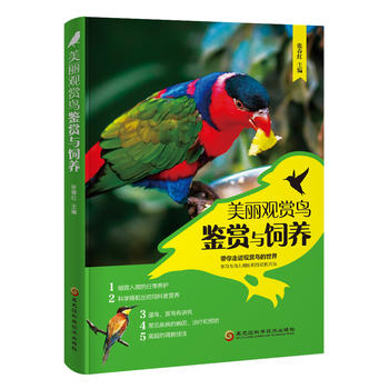 �����^�p�B�b�p�c��B(y��ng)