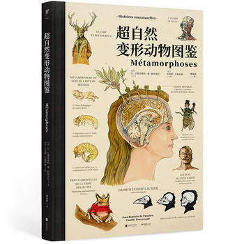 ����Ȼ׃�΄���D�b