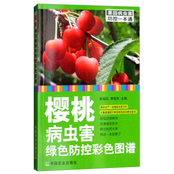 ���Ҳ��x(ch��ng)���Gɫ���ز�ɫ�D�V