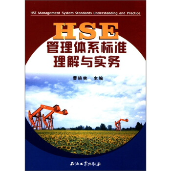 HSE�����wϵ�˜������c����(w��)