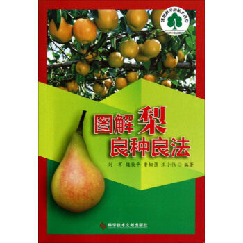 �D�������N����