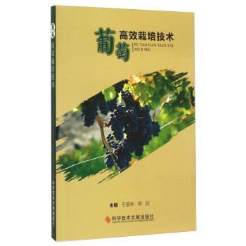 ���Ѹ�Ч���༼�g(sh��)