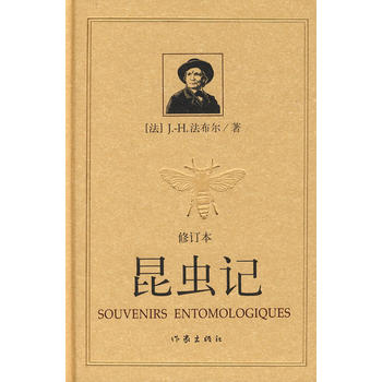 ���xӛ����ӆ������ƽ��