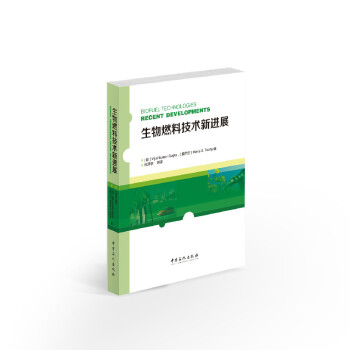 ����ȼ�ϼ��g(sh��)���Mչ